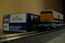 jouef_kangourou_tnte.jpg jouef_kangourou_tnte.jpg