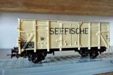 piko_dr_isotherme2_o_seefische_56445015.jpg piko_dr_isotherme2_o_seefische_56445015.jpg